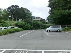 ��t�s��t������̌��Ƀp�[�L���O���ԏ�摜